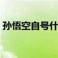 孙悟空自号什么自封什么（孙悟空自号什么）