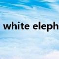 white elephant海明威（white elephant）