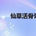 仙草活骨膏为什么下架（仙草活骨膏）