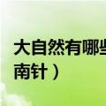 大自然有哪些指南针的句子（大自然有哪些指南针）