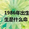 1986年出生是什么命五行属什么（1986年出生是什么命）