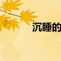 沉睡的近义词（柔和的近义词）