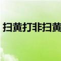 扫黄打非扫黄是指什么（扫黄打非是指什么）