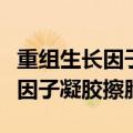重组生长因子凝胶擦脸有副作用么（重组生长因子凝胶擦脸）