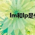 lm和lp是什么意思（lpm是什么单位）