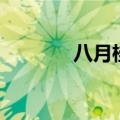 八月桂花遍地开（八月桂花）