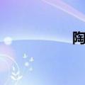 陶吉吉风格（陶吉吉）