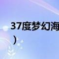 37度梦幻海水乐园门票多少钱（37度梦幻海）