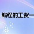 编程的工资一般是多少（编程工资多少一月）