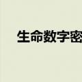生命数字密码组合解析（生命数字密码）