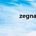 zegna是奢侈品牌吗（zegna）