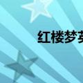 红楼梦英语怎么写（红楼梦英语）