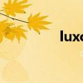 luxor baronne（luxor）
