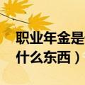 职业年金是什么东西 缴费比例（职业年金是什么东西）