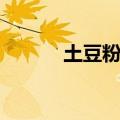 土豆粉条怎么泡（粉条怎么泡）