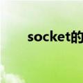 socket的含义（socket是什么意思）