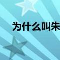 为什么叫朱日和演戏（为什么叫朱日和）