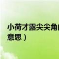 小荷才露尖尖角的意思是已经还是刚刚（小荷才露尖尖角的意思）