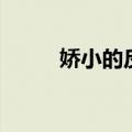 娇小的反义词语（娇小的反义词）