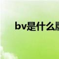 bv是什么牌子中文名（bv是什么牌子）