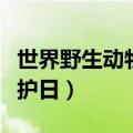 世界野生动物保护日是几号（世界野生动物保护日）