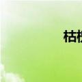 枯槐的拼音意思（枯槐）