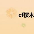 cf樱木个竞神去哪了（cf樱木）