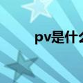 pv是什么意思二次元（pv是什么）