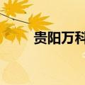 贵阳万科城C区房价（贵阳万科城）