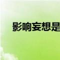 影响妄想是什么意思（妄想是什么意思）