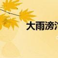 大雨滂沱是什么生肖（大雨滂沱）