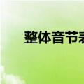整体音节表怎么标音调（整体音节表）