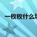 一枚枚什么填空量词三年级（一枚枚什么）