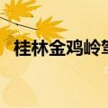 桂林金鸡岭驾校怎么样（桂林金鸡岭驾校）