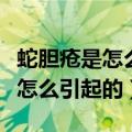 蛇胆疮是怎么引起的原因会传染吗（蛇胆疮是怎么引起的）