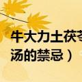 牛大力土茯苓煲汤放什么材料（牛大力土茯苓汤的禁忌）