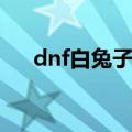 dnf白兔子和春节宠物（dnf宠物兔子）