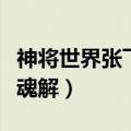 神将世界张飞带什么星魂技能（神将世界张飞魂解）