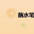 蘸水笔的作用（蘸水笔怎么用）