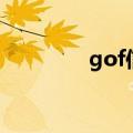 gof信仰之眼水冷（go fx）