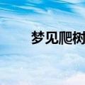 梦见爬树树断了人没事（梦见爬树）