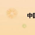 中国文文（中国文秘网）