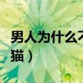 男人为什么不能养猫视频（男人为什么不能养猫）