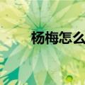 杨梅怎么样吃（杨梅怎么吃比较好）