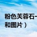 粉色芙蓉石一般多少钱一克（粉色芙蓉石价格和图片）
