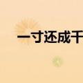 一寸还成千万缕读音（一寸还成千万缕）
