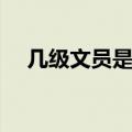 几级文员是什么意思（文员是什么意思）