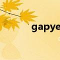 gapyear什么意思（gapyear）