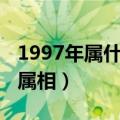 1997年属什么生肖配对（1942年属什么生肖属相）