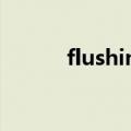flushingmachine（flushing）
